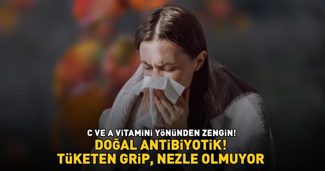 Doğal Antibiyotik Kilosu 50 TLden Satılıyor C Vitamini Ve A Vitamini Yönünden Zengin: TÜKETEN GRİP, NEZLE OLMUYOR