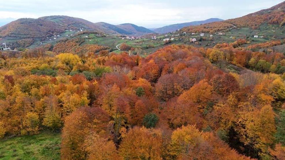 Samsunda masalsı sonbahar: Tablo gibi görüntüler