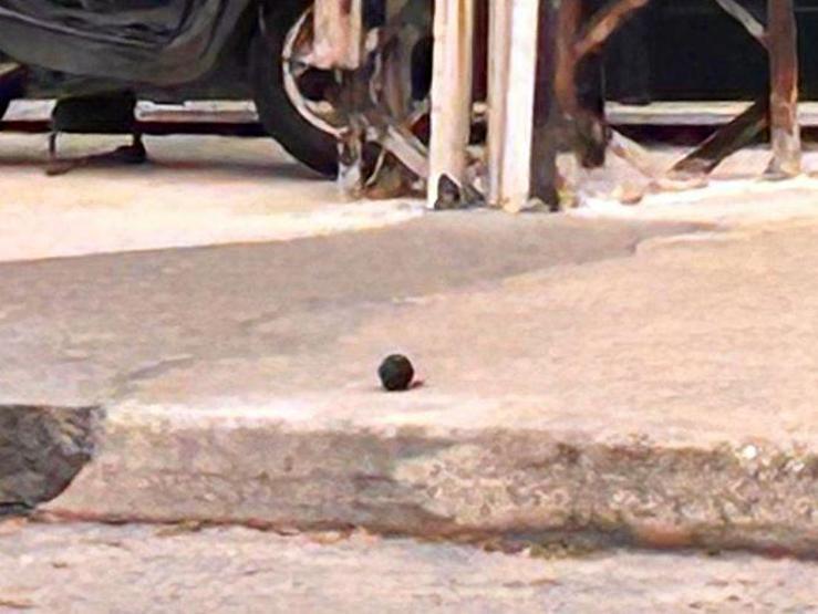 SON DAKİKA İstanbul Beylikdüzünde El Bombası Paniği