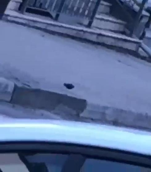 SON DAKİKA İstanbul Beylikdüzünde El Bombası Paniği