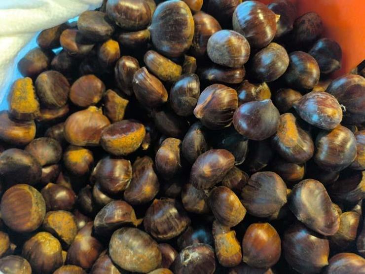 Kilosu 200 Lira Ama Kapış Kapış Gidiyor Kışın En Pahalı Meyvesi Ama Vazgeçemiyorlar... Kestane Alırken Bu 5 Detaya Dikkat