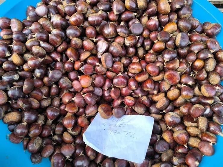 Kilosu 200 Lira Ama Kapış Kapış Gidiyor Kışın En Pahalı Meyvesi Ama Vazgeçemiyorlar... Kestane Alırken Bu 5 Detaya Dikkat