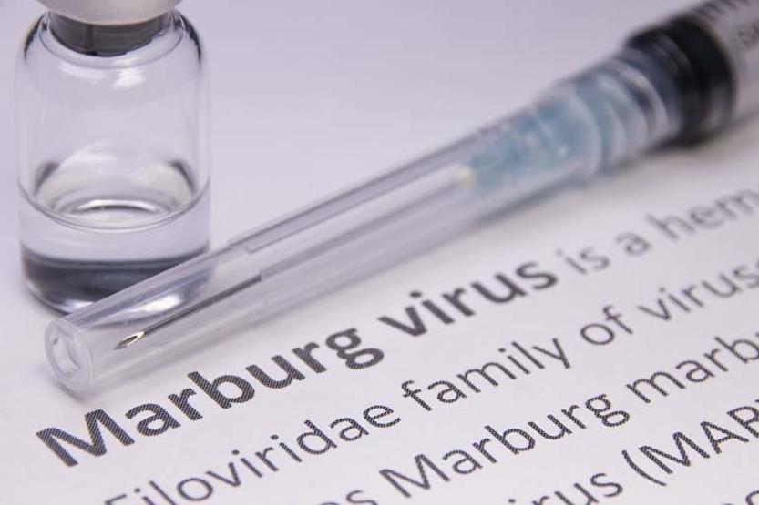 DSÖ: En Az 8 Kişi Hayatını Kaybetti Marburg Virüsü Nedir, Nasıl Bulaşıyor, Belirtileri Neler Marburg Virüsü Ne Kadar tehlikeli Marburg Virüsü Salgınlarının Görüldüğü Yerler
