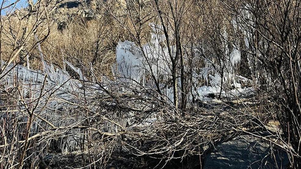 Bir şehir dondu... Ağaçlarda buz sarkıtları oluştu
