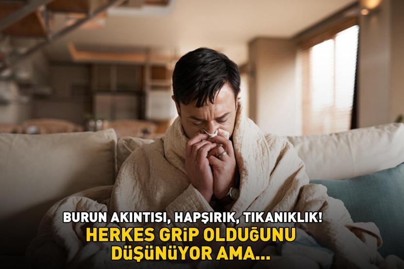 Bu Belirtilerle Ortaya Çıkıyor Burun Akıntısı, Hapşırık, Tıkanıklık Herkes Grip Olduğunu Sanıyor Ama...