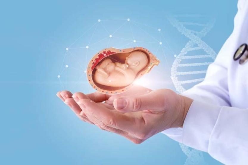 Tüp bebek tedavilerinde iğne kıtlığı
