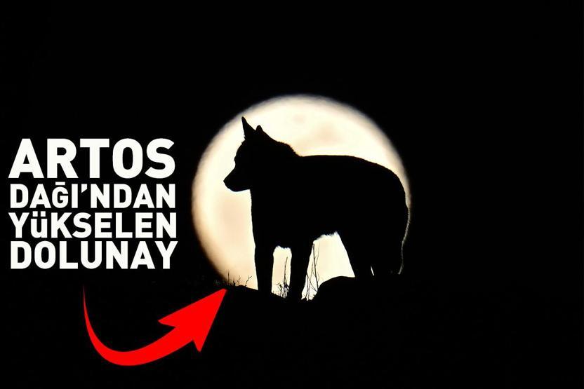Tam da o an Türkiyede çekildi Büyüleyici anlar...