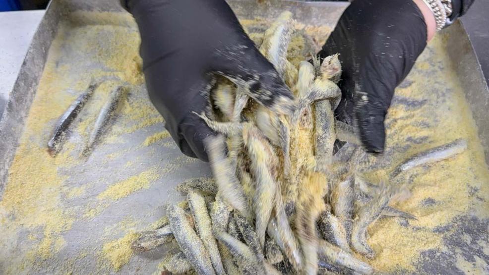 Hamsinin lezzeti arttı: Ustasından pişirme tüyoları