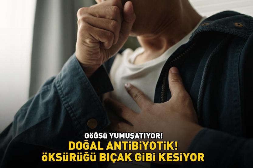 DOĞAL ANTİBİYOTİK 1 hafta kullanmak yetiyor: Öksürüğü bıçak gibi kesiyor, ciğerdeki balgamı söküp atıyor