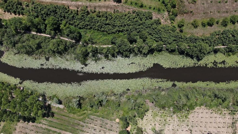 Sakarya’nın misafirleri 9 günlük tatilde Acarlar Longozu’na akın etti
