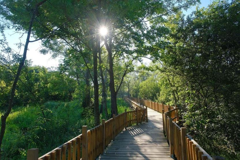 Sakarya’nın misafirleri 9 günlük tatilde Acarlar Longozu’na akın etti