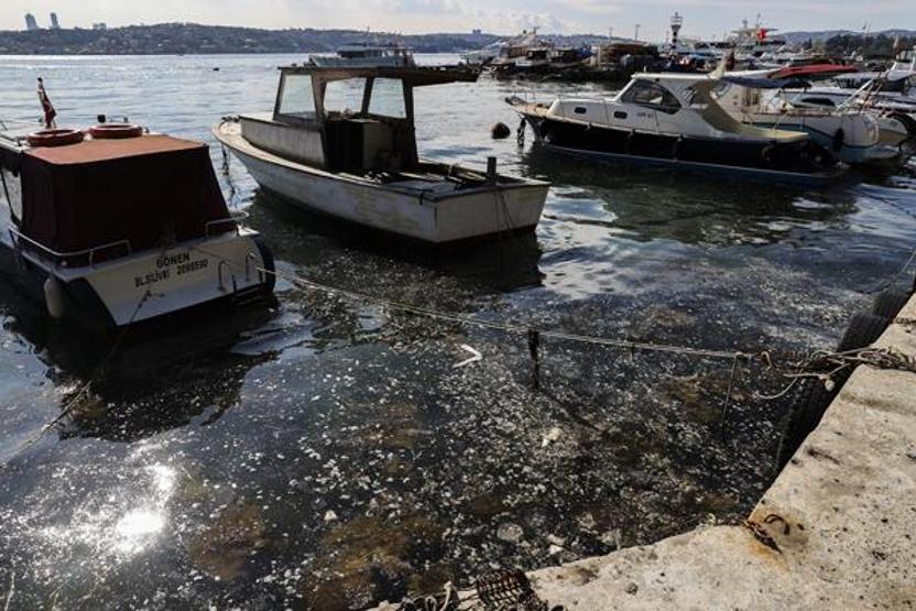 Kabus İstanbula geri döndü Balık avlayamıyoruz