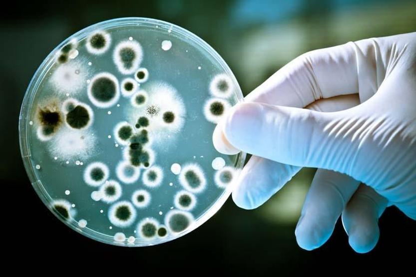 Sessizce öldürüyor Bir yılda üç milyon çocuk hayatını kaybetti Antibiyotik direncinin çözümü var mı