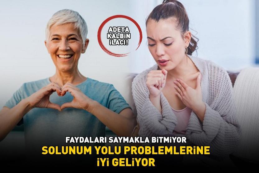 ADETA KALBiN iLACI Faydaları saymakla bitmiyor ‘Öksürük, boğaz ağrısı, bronşit gibi solunum yolu problemlerine iyi geliyor’