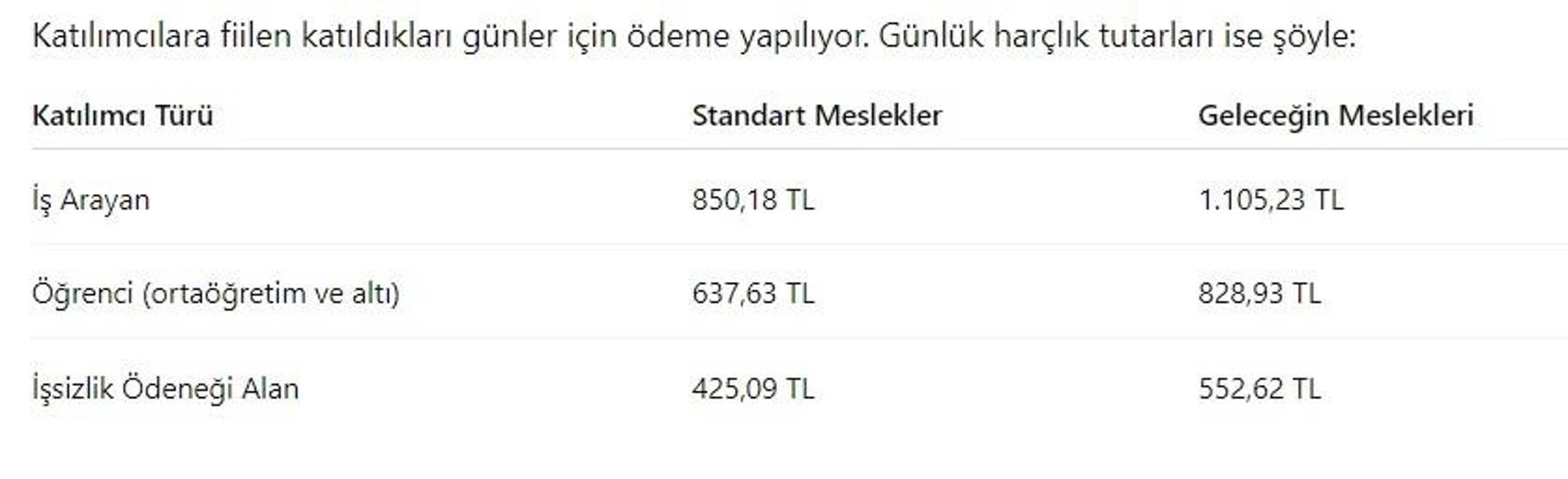 İŞKURdan, iş arayanlara günlük 1.100 TL destek Peki kimler nasıl faydalanabilir