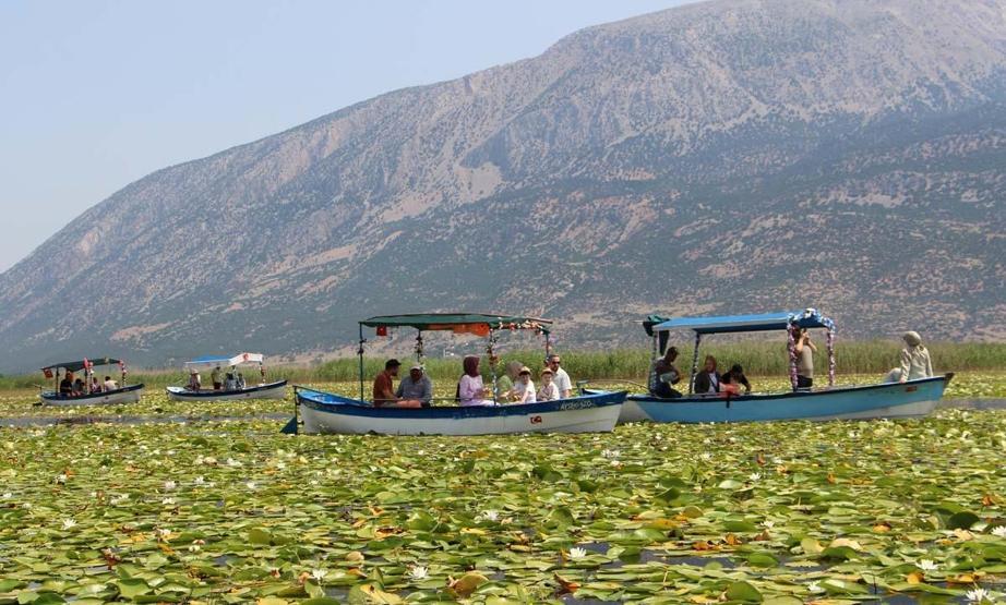 Denizliye Giden Uğramadan Dönmüyor Işıklı Gölü’nde Nilüfer Turizmi... Ziyaretçilerin İlgi Odağı Oldu