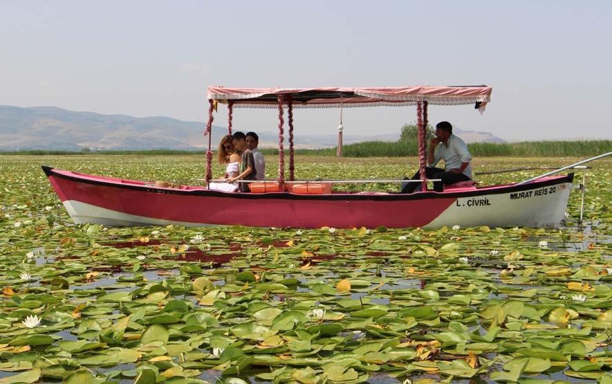 Denizliye Giden Uğramadan Dönmüyor Işıklı Gölü’nde Nilüfer Turizmi... Ziyaretçilerin İlgi Odağı Oldu