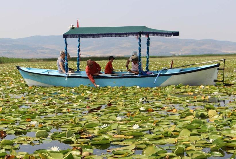 Denizliye Giden Uğramadan Dönmüyor Işıklı Gölü’nde Nilüfer Turizmi... Ziyaretçilerin İlgi Odağı Oldu