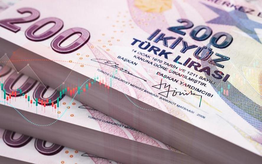 Merkez Bankası faiz kararı sonrası 750 bin TL’nin 1 aylık getirisi ne oldu