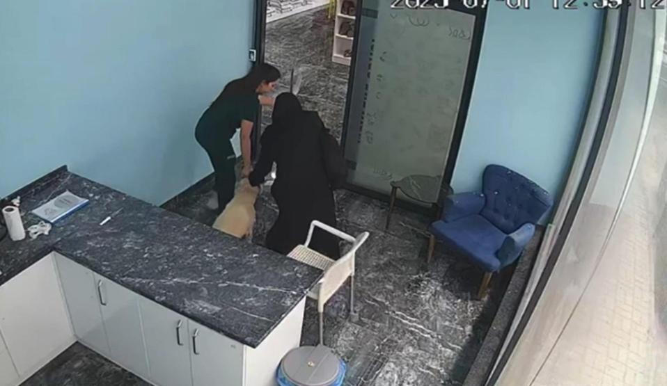 Deprem sırasında yürekleri ısıtan görüntü Tedavi ettiği köpeğin yanına koştu