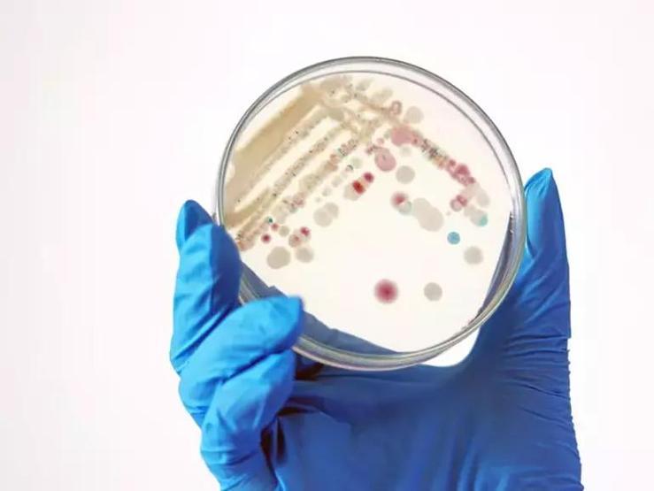TÜRKİYEDE DE VAR Ölümcül Enfeksiyonlara Yol Açabiliyor Plajlarda ‘Vibrio’ Alarmı