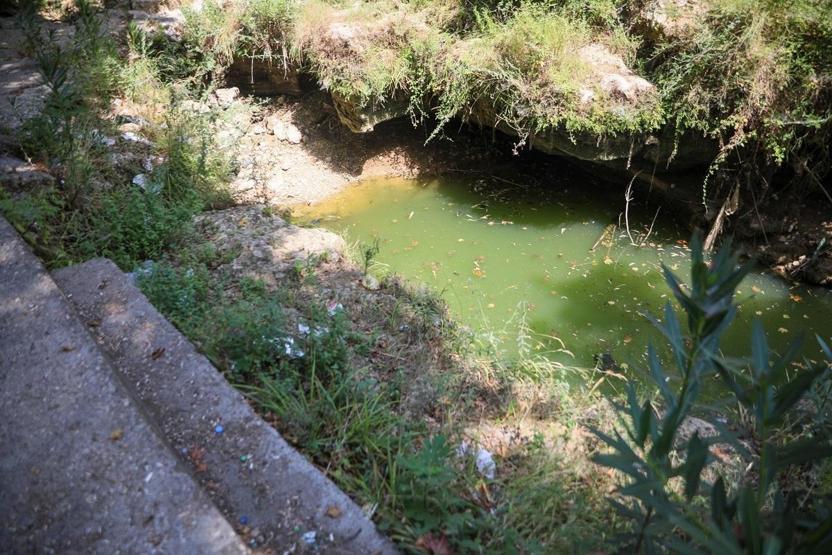 Endişe veren görüntü: Yüzlercesi öldü
