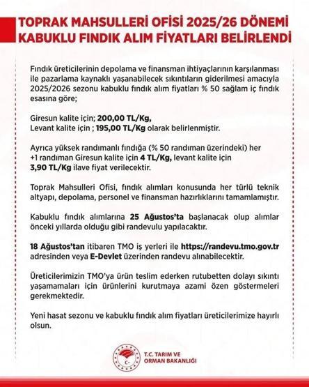 TMO FINDIK FİYATLARI 2025 (GİRESUN, LEVANT, SİVRİ KALİTE): TMO’nun kilogram başına fındık alım fiyatları ne kadar oldu