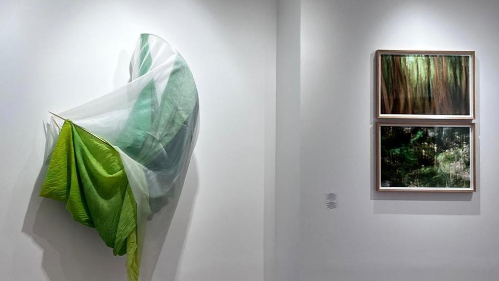 Vision Art Platform’dan Londrada sanat rüzgarı: What Will not Bend, Will Break