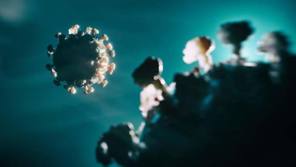 Yeni Virüs Alarmı DSÖden Acil Uyarı: H3N2 Dünyada Rekor Hızla Yayılıyor