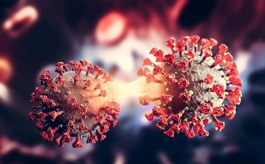 Yeni Virüs Alarmı DSÖden Acil Uyarı: H3N2 Dünyada Rekor Hızla Yayılıyor