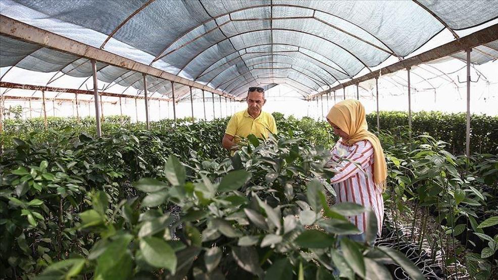 TİGEM İŞÇİ ALIMI 2026: TİGEM 254 Personel Alımı İŞKUR Başvuru Sonuçları Açıklandı Mı Sonuçlar Nereden Öğrenilir
