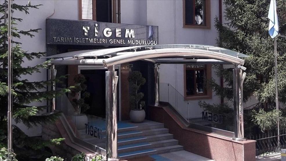TİGEM İŞÇİ ALIMI 2026: TİGEM 254 Personel Alımı İŞKUR Başvuru Sonuçları Açıklandı Mı Sonuçlar Nereden Öğrenilir
