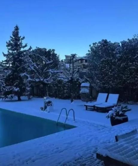 Yasemin Ergenenin Yeni Evi Olay Oldu Kiralık Evine Ödenen Tutar Şaşkınlık Yarattı