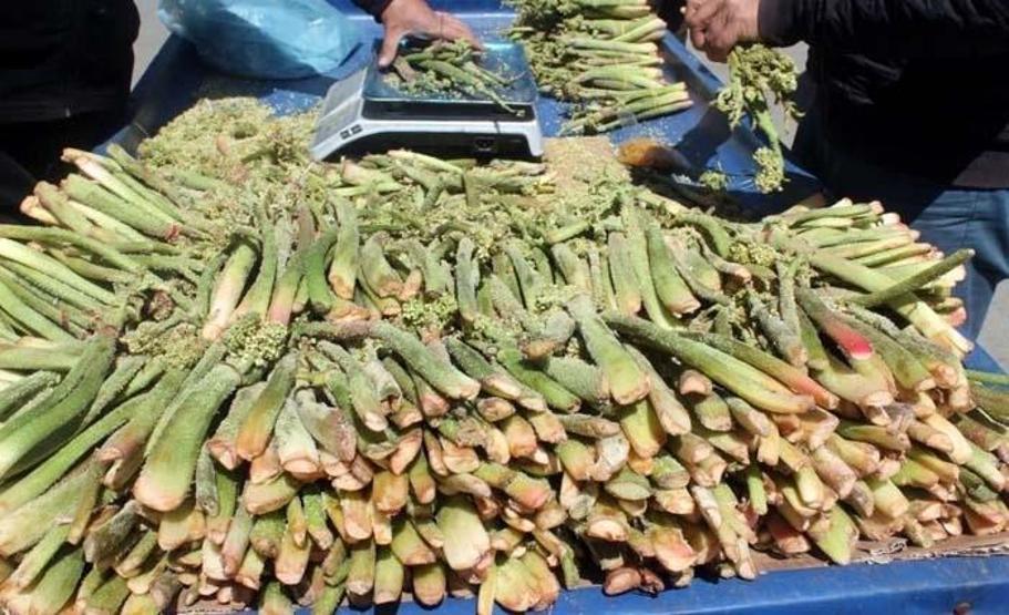 Doğada Kendiliğinden Yetişiyor C, A, B1, B2, E ve K Vitamini Deposu Doğal İlaç Tezgahlarda 300 TLden Satılıyor