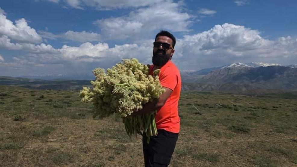 Ne Muz Ne Sebze Van’da Doğal Olarak Yetişen Bu Lezzete İlgi Büyük... Sabahın İlk Işıklarıyla Dağlara Akın Ediyorlar Talep Her Geçen Gün Artıyor