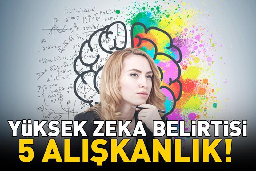 YÜKSEK ZEKALI İNSANLARIN 5 ORTAK ALIŞKANLIĞI Zihnin çalışma şekline dair önemli ipuçları veriyor