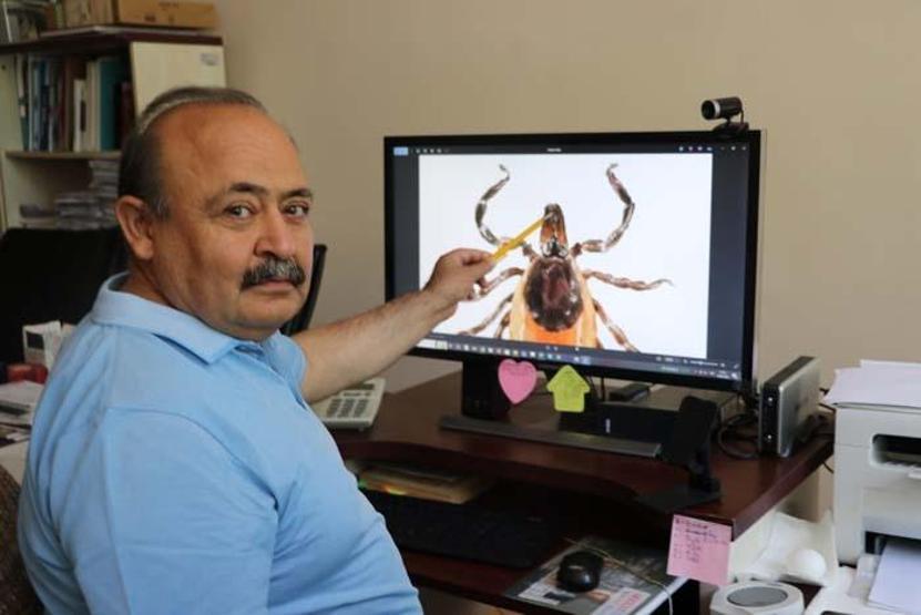 Sivasta 5 Kişi Hayatını Kaybetmişti... KKKA Hastalığında Şaşırtan Detay: Ölen 2 Kişide Kene Yapışma İzine Rastlanmadı İnsandan İnsana Bulaş Riski mi Var