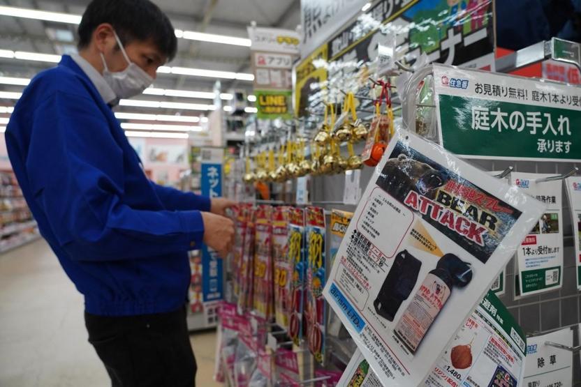 Ayılar şehirleri bastı: Japonya dağları kameralarla donatıyor Bal tuzağı ile takip...