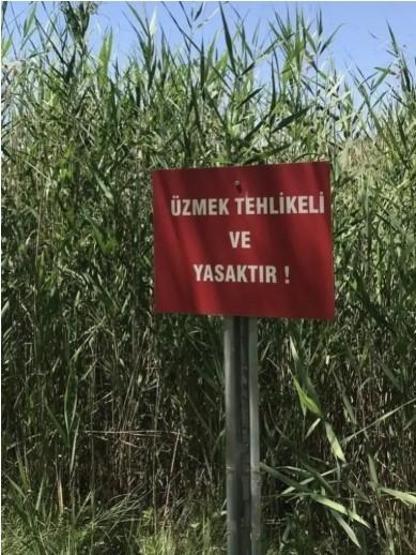 Hande Erçel Sanal Medyayı Salladı: “Üzmek Tehlikeli ve Yasaktır”