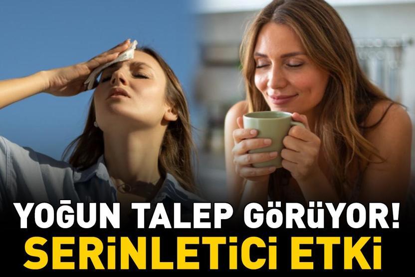 Serinletici etki Yaz sıcaklarında yoğun talep görüyor Bağışıklık sistemini destekliyor, şişkinlik hissini azaltıyor