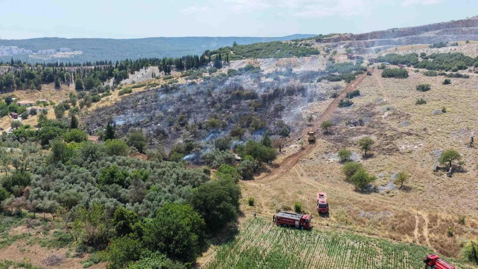Görüntüler Muğladan: Alevlerden kaçan kaplumbağa, taşların arasına sığındı