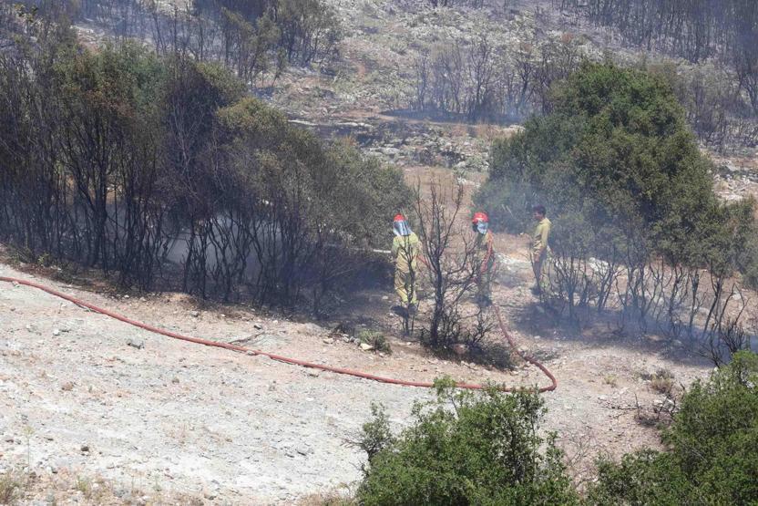 Görüntüler Muğladan: Alevlerden kaçan kaplumbağa, taşların arasına sığındı