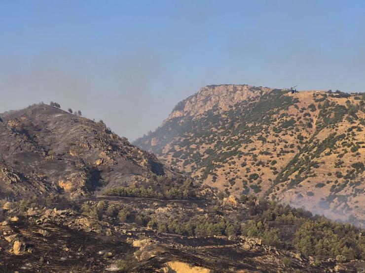 Pamukkalede orman yangını Havadan ve karadan müdahale başladı