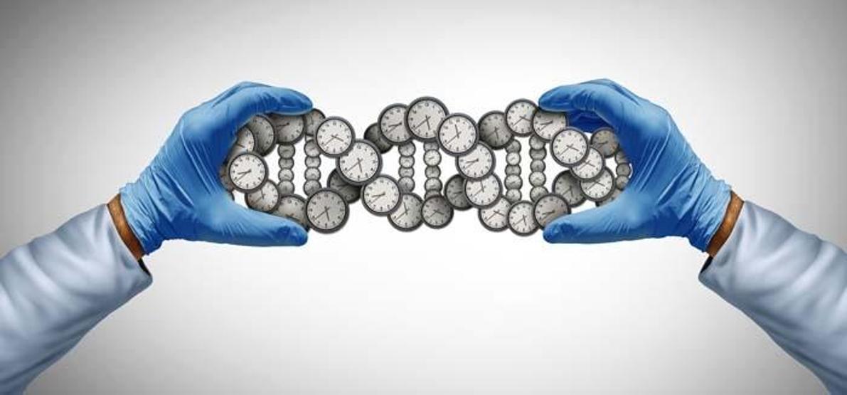 Vücudunuz Gerçekte Kaç Yaşında Kimlikte 60, Damarlarda 72 Yaşında Olabilirsiniz... Geleceğin Check-Up’ı Biyolojik Yaşı Ölçecek