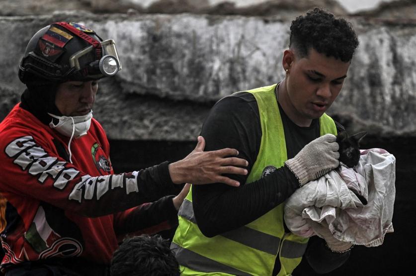 Felaketin üzerinden 25 gün geçti: Venezuelada enkazın altında kalan kedi kurtarıldı