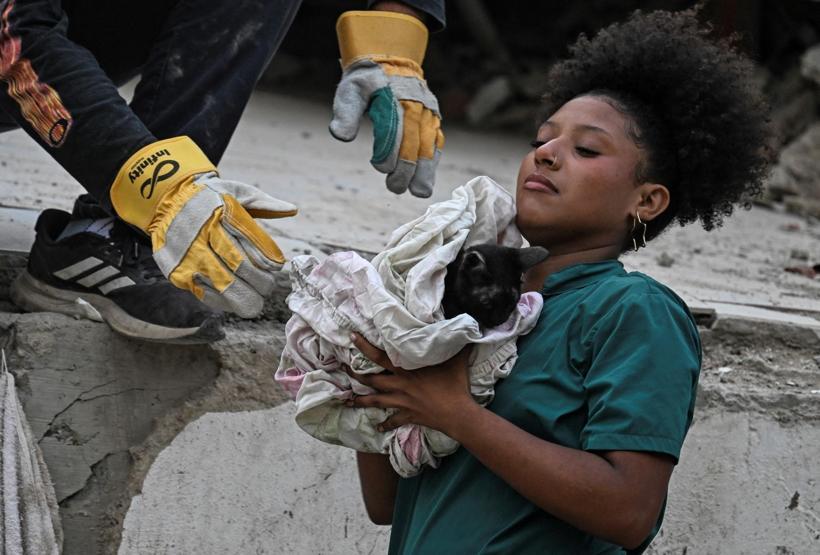 Felaketin üzerinden 25 gün geçti: Venezuelada enkazın altında kalan kedi kurtarıldı
