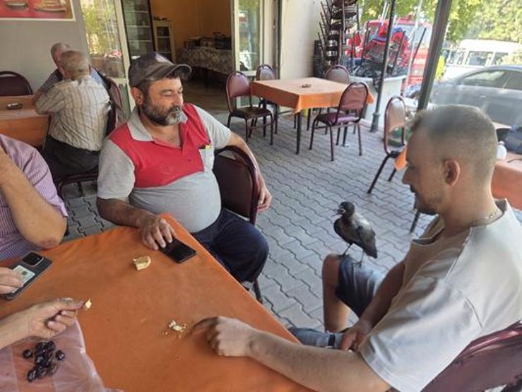 Görenleri şaşırtan dostluk Bir an olsun yanından ayrılmıyor