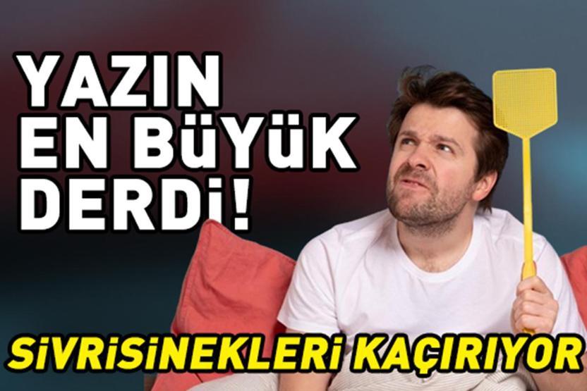 Sivrisinekleri ne kaçırır Yaz akşamlarının büyük kabusuna son veren 5 etkili yöntem