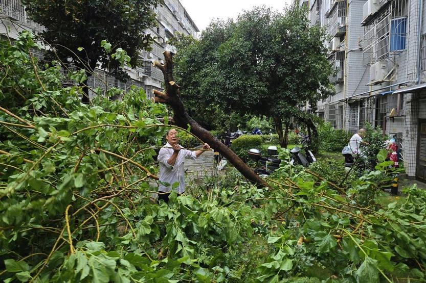 Çin’de Dolphin Tayfunu alarmı: 1 milyon kişi tahliye edildi 150 yıllık rekor kırıldı…