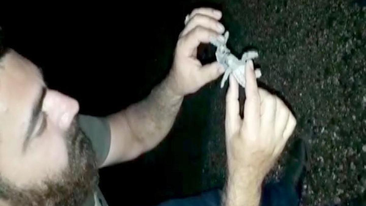 Nemis oilasida oilaviy jinsiy porno